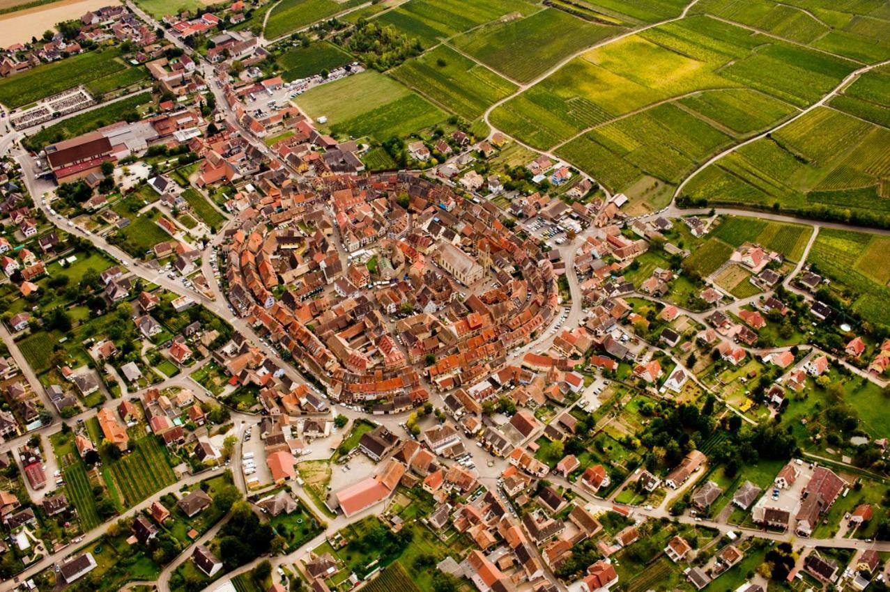 Gite Edelweiss A Eguisheim Exterior photo