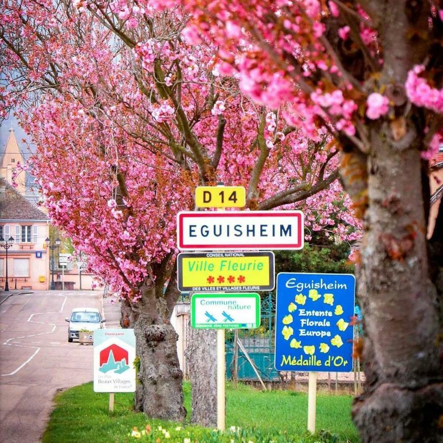 Gite Edelweiss A Eguisheim Exterior photo